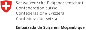 Copy of Swiss-Logo-in-Moz2